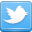 Twitter icon